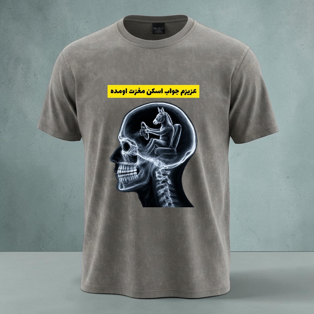 Honey, Your Brain Scan Results Are Back Graphic T-Shirt